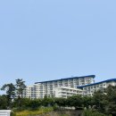 쏠비치 호텔 삼척 | 삼척 4성급 호텔 리조트 쏠비치 삼척 호텔 숙박 후기