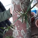 우송농장 이미지