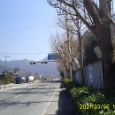 전주대성초등학교 이미지