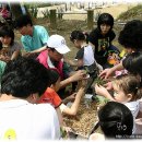 가루개로 이미지