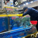 온누리수산 | [가락시장 맛집] <호남수산> 온누리 상생페이 결제, 제철 새조개 &amp; 벤찌+쥐치 후기