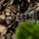 장암농장 이미지