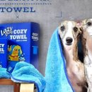 레이지독 이미지