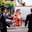플라이불
