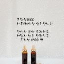 피누스스토어 일류 이미지