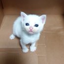 마장우체국 이미지