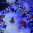 유니독스 이미지