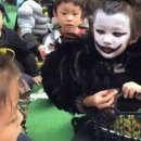 그 다음 이미지