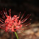 중앙공원(상) 이미지