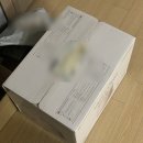 성북6 | 신혼 혼수 가전 밥솥 추천 쿠쿠 성북직영점 쿠쿠 6인용 구매