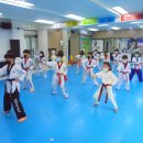 용인대예당태권도 이미지