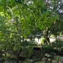 고성민박 이미지