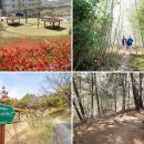 창평한마음요양병원 이미지