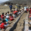 상락유치원 이미지