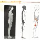 한양대헬스장, 허리통증 &amp; 라운드 숄더 회원님 PT 20회 후기