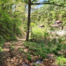 운교1리 이미지