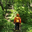 8월 정기산행 장쾌한 지리산 주능선과 서북능선이 조망되는 오도재, 삼봉산, 서룡산 산행 이미지