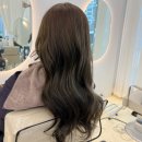 댕구살롱 이미지