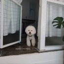 비비드봉 이미지