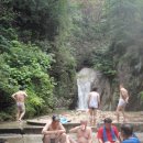 촉수엄금 이미지