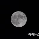 블루문 이미지
