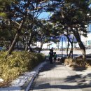 광규농장 네이버블로그