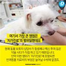 배약국 이미지