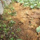 해뜬농장 이미지