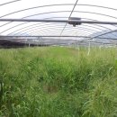 용현농장 이미지