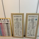 오행건강센터 이미지