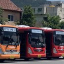 무주읍184 | 조금 늦은 11회 무주산골영화제 후기 (영화제에서 영화는 안 보기 편)