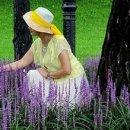 제일사랑 이미지