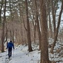 팔봉골프연습장 | 금북정맥 종주 13구간(윗갈치~모래고개)