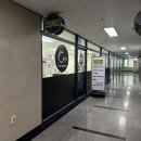 파충류샵 스마일게코 | 동탄파충류샵 크레단 크레스티드 게코 분양 후기