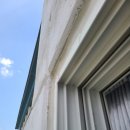 거송그랑데리움 이미지