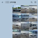 와일드그린 이미지