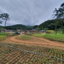 김천문화원 이미지