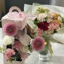 디어퐁퐁 이미지