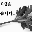 예당개인택시 이미지