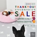 플레이펫