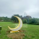 도도리파크(실외) 이미지