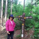 공지산 둘레길 이미지