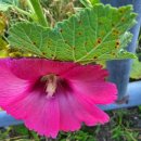 다오공인중개사사무소 이미지