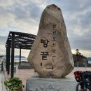 솔나무호스텔 | KRT 목포~진도~완도 라이딩 후기