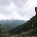 다래펜션 Daum카페