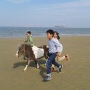 임자초등학교 이미지