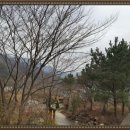 산청공인중개사사무소 이미지