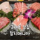 참치매니아 | 구래동 맛집 참치매니아 스페셜 코스 후기