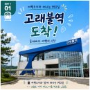 28245-04-01-001 | 역으로 떠나는 1박2일 #001 고래불역에서 시작하는 아이와 바다여행