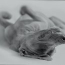 청구 리빙텔 이미지